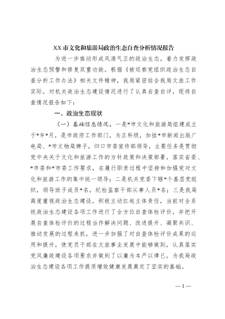 XX市文化和旅游局政治生态自查分析情况报告