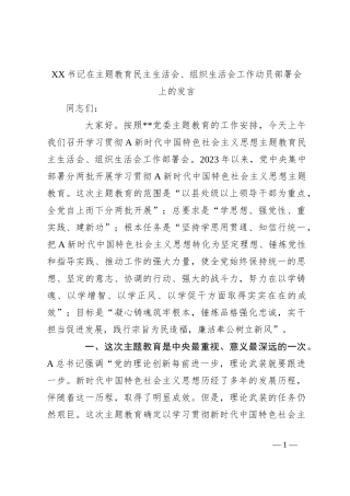 XX书记在主题教育民主生活会、组织生活会工作动员部署会上的发言