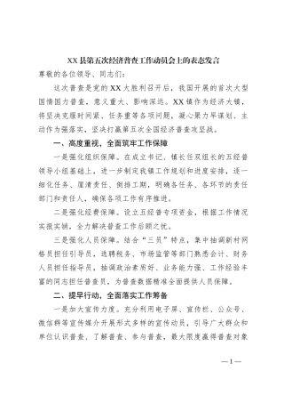 XX县第五次经济普查工作动员会上的表态发言