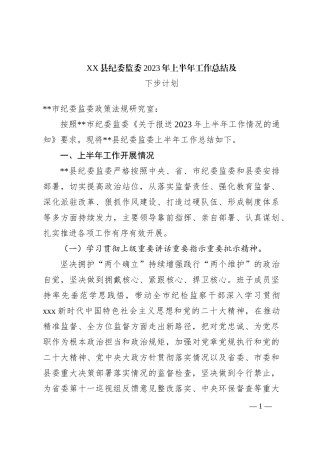 XX县纪委监委2023年上半年工作总结及下步计划