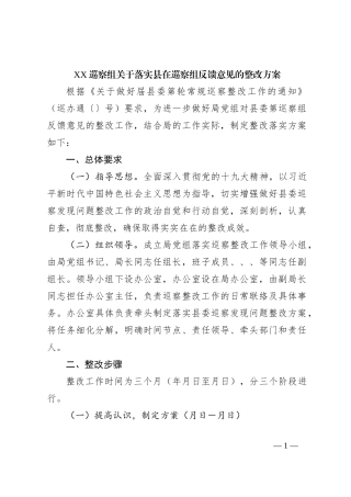 XX巡察组关于落实县在巡察组反馈意见的整改方案