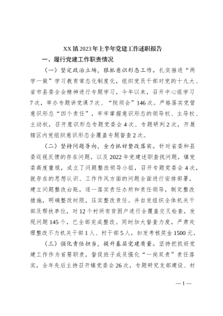 XX镇2023年上半年党建工作述职报告