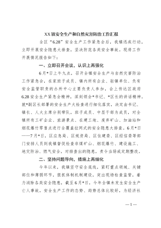 XX镇安全生产和自然灾害防治工作汇报