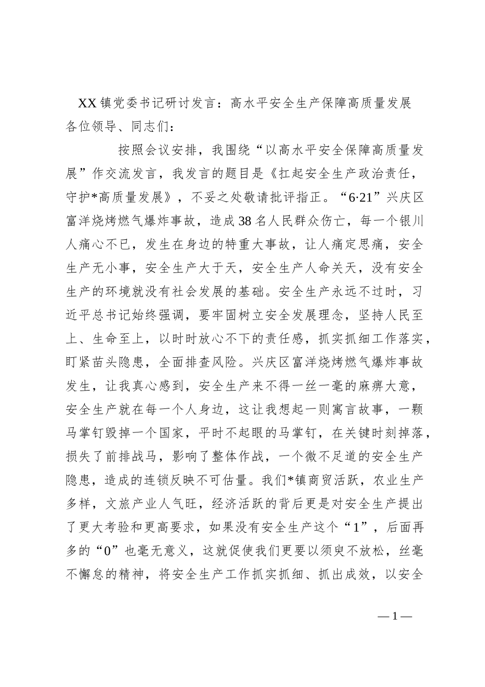 XX镇党委书记研讨发言：高水平安全生产保障高质量发展_第1页