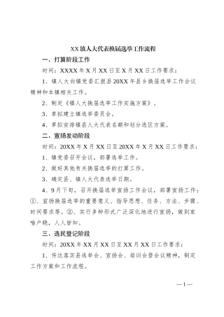 XX镇人大代表换届选举工作流程