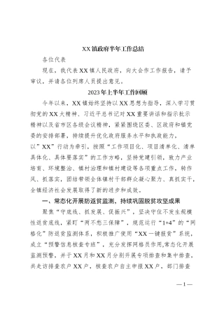 XX镇政府半年工作总结