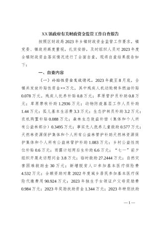 XX镇政府有关财政资金监管工作自查报告