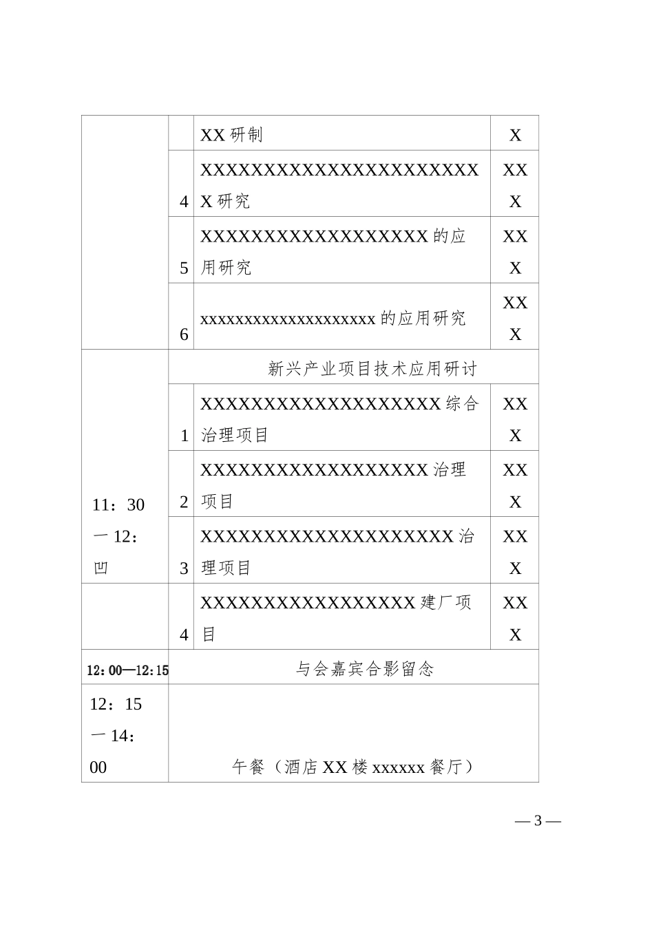 X集团有限公司新兴产业顼目技术研讨会_第3页