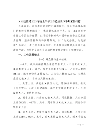 X市信访局2023年度上半年工作总结及下半年工作打算