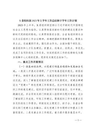 X委组织部2023年上半年工作总结和下半年工作计划