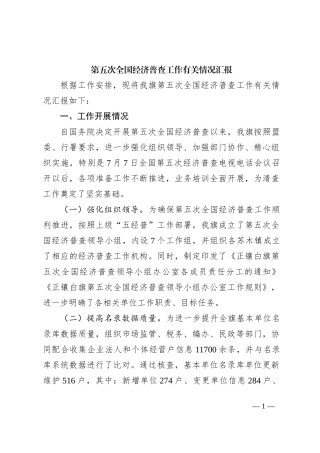 第五次全国经济普查工作有关情况汇报