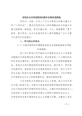 对农村人居环境整治问题不足和改进措施