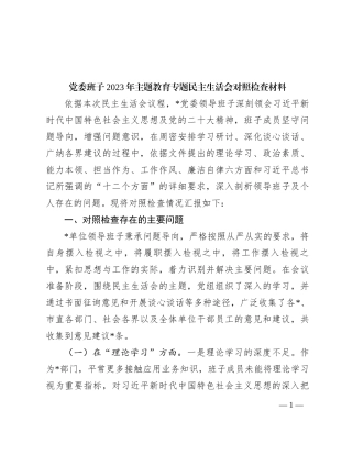 党委班子2023年主题教育专题民主生活会对照检查材料