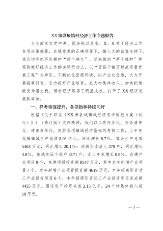 XX镇发展镇村经济工作专题报告