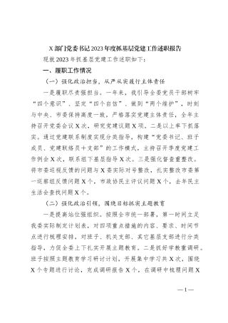 X部门党委书记2023年度抓基层党建工作述职报告