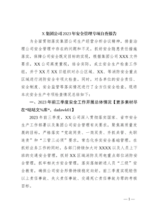 X集团公司2023年安全管理专项自查报告