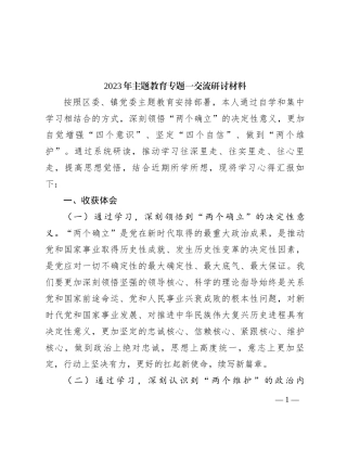 2023年主题教育专题一交流研讨材料
