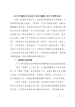 2023年专题民主生活会个人发言提纲（新6个对照方面）