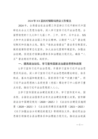 2024年XX县医疗保障局普法工作要点