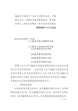2024年支部班子“执行上级组织决定、严格组织生活、加强党员教育管理监督、联系服务群众、抓好自身建设”等方面存在的原因整改材料3070字范文