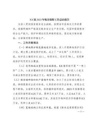 2023121504：XX镇2023年粮食保障工作总结报告