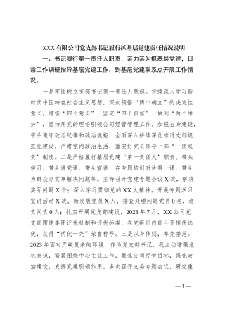 XXX有限公司党支部书记履行抓基层党建责任情况说明