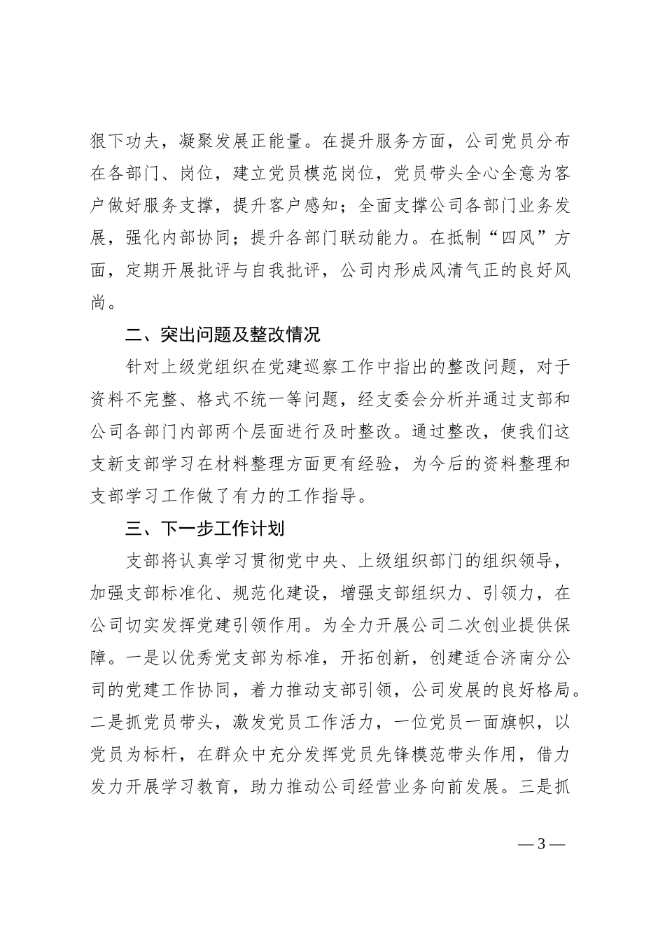 XX党支部年度工作总结_第3页