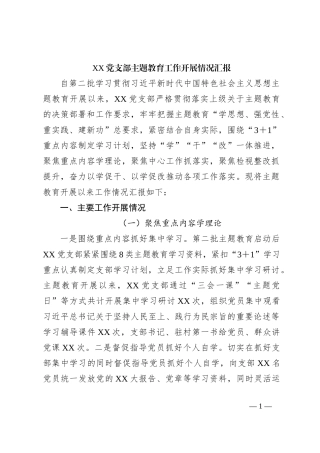 XX党支部主题教育工作开展情况汇报
