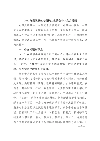 2022年巡视整改专题民主生活会个人发言提纲