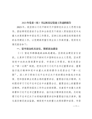 2023年党委（组）书记抓基层党建工作述职报告