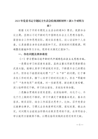 2023年党委书记专题民主生活会检视剖析材料（新6个对照方面）