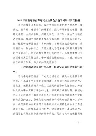 2023年度主题教育专题民主生活会会前学习研讨发言提纲 (6)