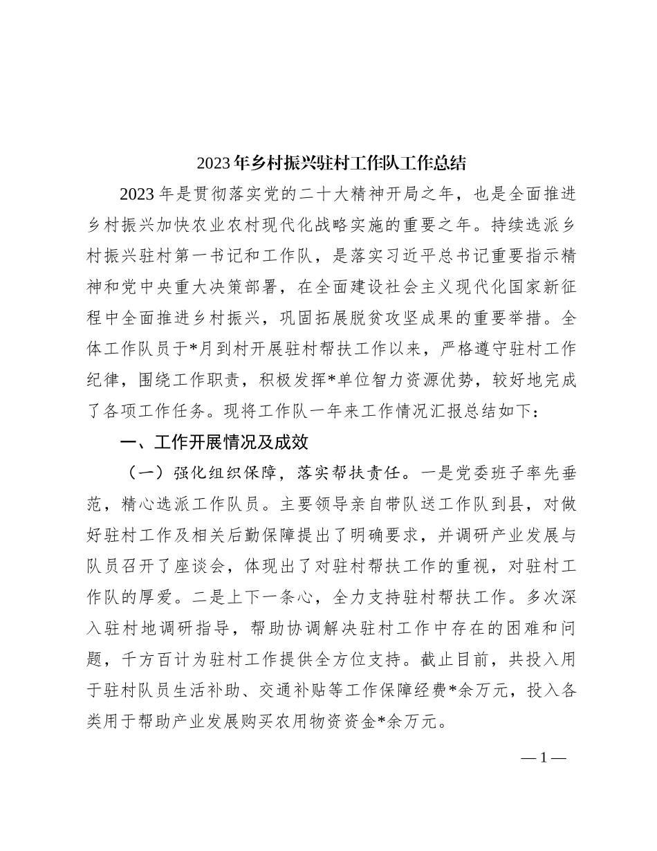 2023年乡村振兴驻村工作队工作总结_第1页