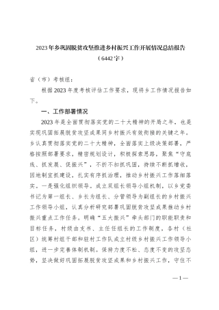 2023年乡巩固脱贫攻坚推进乡村振兴工作开展情况总结报告【优】
