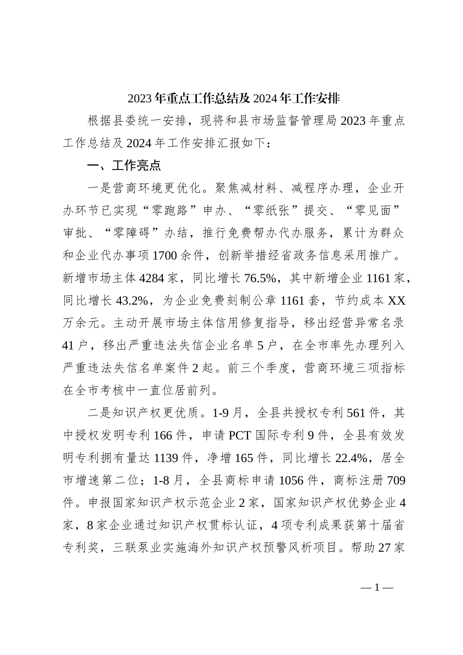 2023年重点工作总结及2024年工作安排_第1页