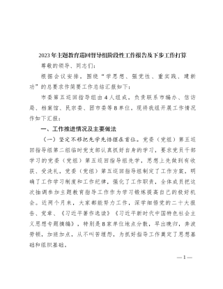 2023年主题教育巡回督导组阶段性工作报告及下步工作打算_20231107_093943