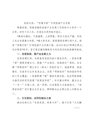 经验交流：“党建五联”引领旅游产业发展