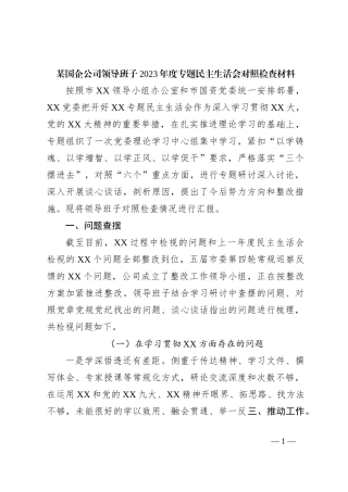 某国企公司领导班子2023年度专题民主生活会对照检查材料