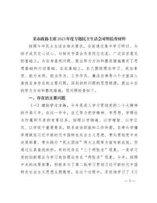 某市政协主席2023年度专题民主生活会对照检查材料