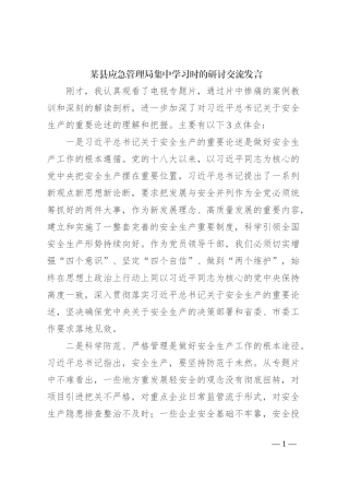 某县应急管理局集中学习时的研讨交流发言