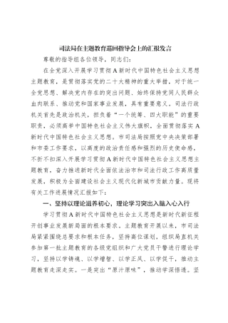 司法局在主题教育巡回指导会上的汇报发言