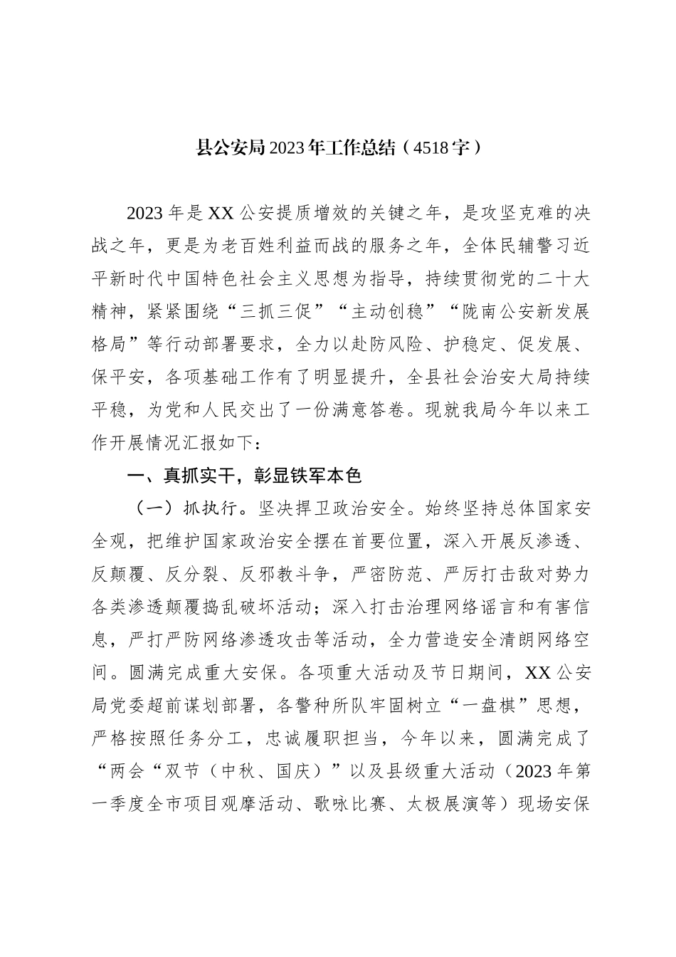 县公安局2023年工作总结=_第1页