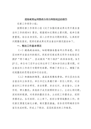 巡察成果运用整改自查自纠情况总结报告