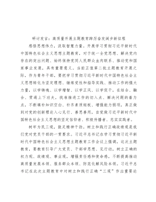 研讨发言：高质量开展主题教育 踔厉奋发阔步新征程