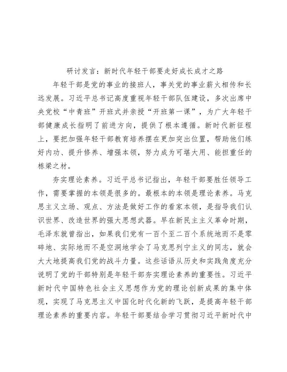 研讨发言：新时代年轻干部要走好成长成才之路_第1页