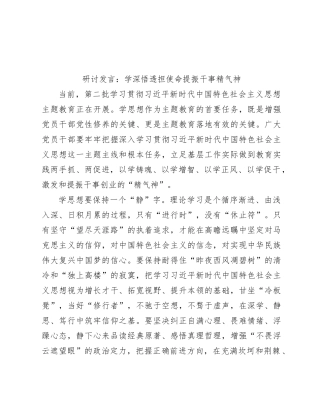 研讨发言：学深悟透担使命 提振干事精气神