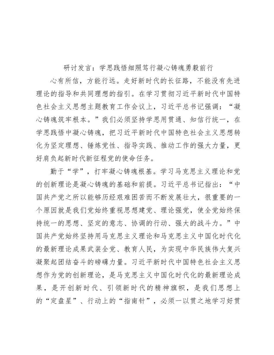 研讨发言：学思践悟细照笃行凝心铸魂勇毅前行_第1页