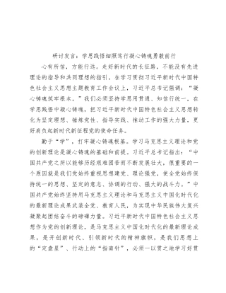 研讨发言：学思践悟细照笃行凝心铸魂勇毅前行