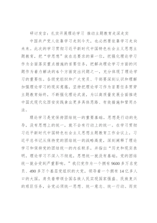 研讨发言：扎实开展理论学习 推动主题教育走深走实