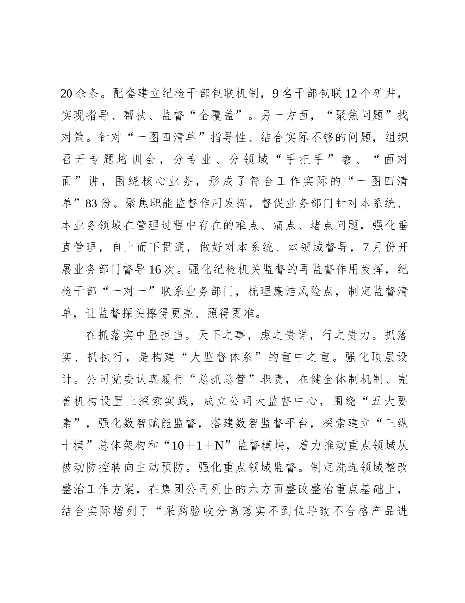 在国有企业纪检监察大监督体系建设推进会上的汇报发言_第3页